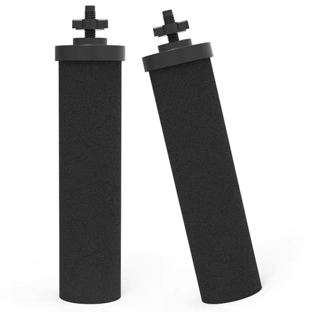 Water Filter Replacement for BB9-2® Black Carbon Filters – Pack of 2 | SVIRSON®